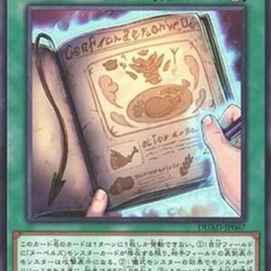 Yu-Gi-Oh! DUAD Nouvelles Recipe Book "Recettes de Nouvellez" Japanese