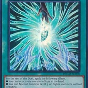 Yu-Gi-Oh! DUAD Guilt Gripping Morganite