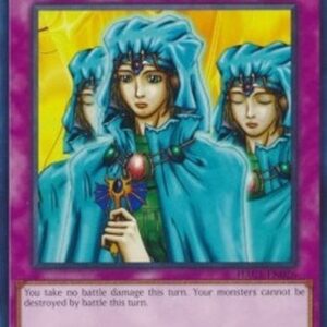 Yu-Gi-Oh! DDY Waboku (V.1 - Common)