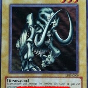 Yu-Gi-Oh! DDY Mammoth Graveyard (V.2 - Common) French