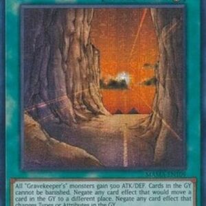 Yu-Gi-Oh! MAMA Necrovalley (V.2 - Secret Parallel Rare)