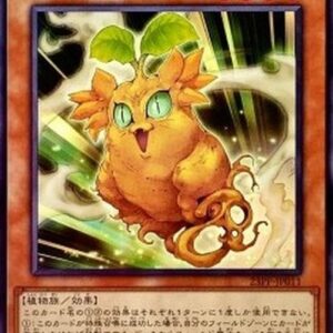 Yu-Gi-Oh! 23PP Cattycorn (V.1 - Common) Korean