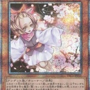 Yu-Gi-Oh! Ash Blossom & Joyous Spring (V.4 - Starlight Rare) Korean