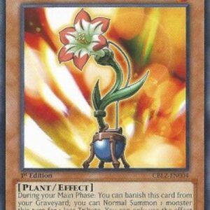 Yu-Gi-Oh! Amarylease