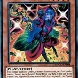Yu-Gi-Oh! DOOD-JP Vengeful Witch