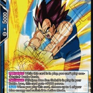 Dragon Ball Super Saiyan Duo Vegeta