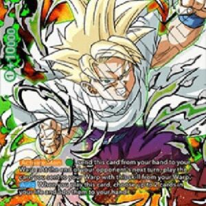 Dragon Ball Super Son Gohan, Master and Pupil