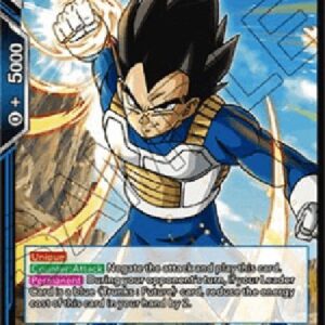 Dragon Ball Super Vegeta, Warrior That Crossed Time