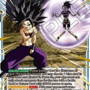 Dragon Ball Super A Sister's Determination