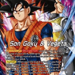 Dragon Ball Super Son Goku & Vegeta // SSB Vegito, Shining Warrior