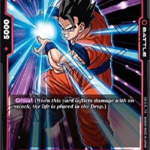 Dragon Ball Super Son Gohan : Adolescence (-08) [Fusion World]