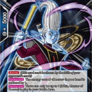 Dragon Ball Super Whis, Mentor of Beerus