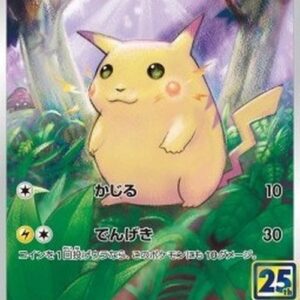 Pokemon Pikachu T-Chinese