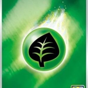 Pokemon Grass Energy Korean