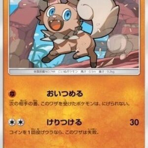 Pokemon Rockruff Japanese