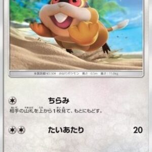 Pokemon Patrat Japanese