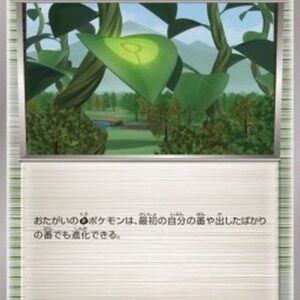 Pokemon Forest of Giant Plants Korean