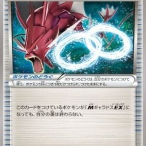 Pokemon Gyarados Spirit Link Korean