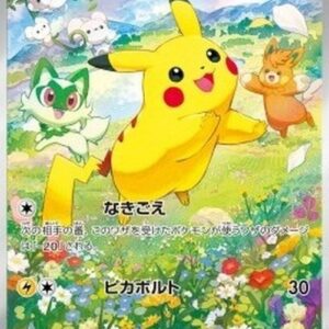 Pokemon Pikachu Korean