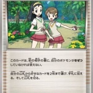 Pokemon Teammates Japanese