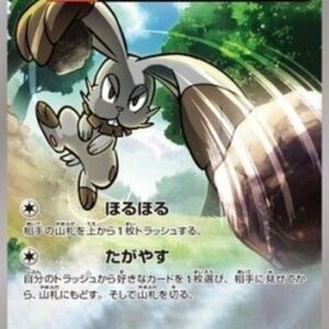 Pokemon Bunnelby Japanese