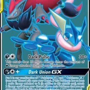 Pokemon Greninja & Zoroark GX