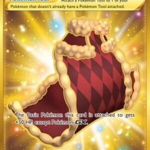 Pokemon Cape of Toughness