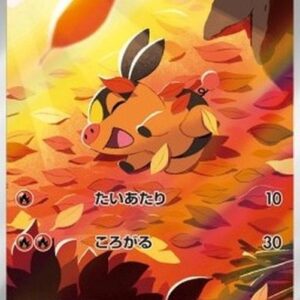 Pokemon Tepig Korean