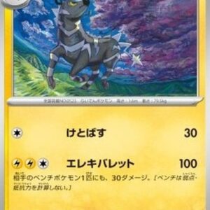 Pokemon Zebstrika Japanese