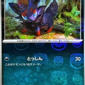 Pokemon Zorua Korean
