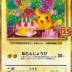 Pokemon _____'s Pikachu T-Chinese