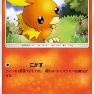 Pokemon Torchic Japanese
