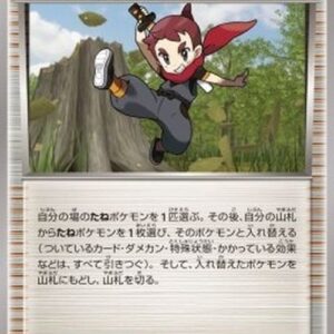 Pokemon Ninja Boy Japanese