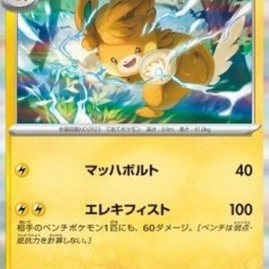 Pokemon Pawmot Japanese