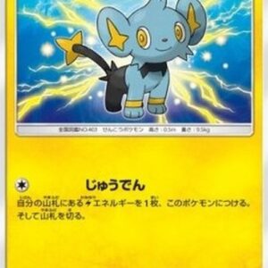 Pokemon Shinx Japanese