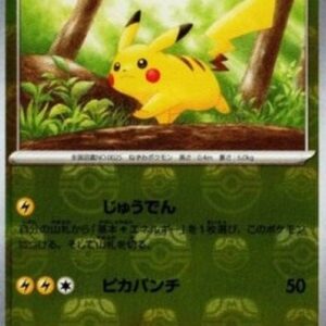 Pokemon Pikachu Korean