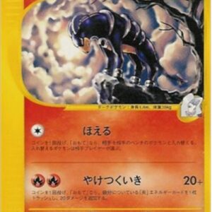 Pokemon Karen's Houndoom Japanese