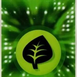 Pokemon Grass Energy Japanese