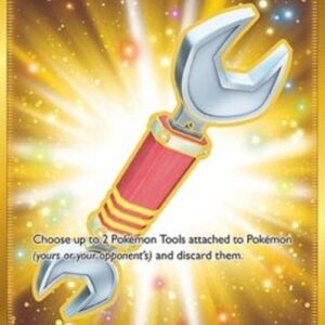 Pokemon Tool Scrapper French