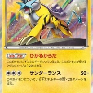 Pokemon Raikou Korean
