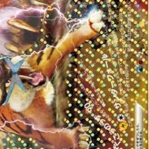 Pokemon Entei & Raikou LEGEND Japanese