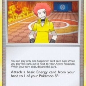 Pokemon Flint's Willpower