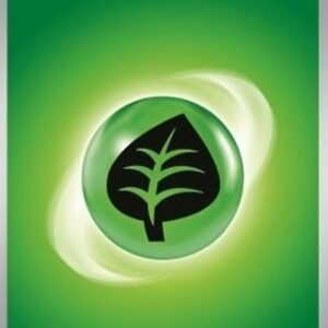 Pokemon Basic Grass Energy