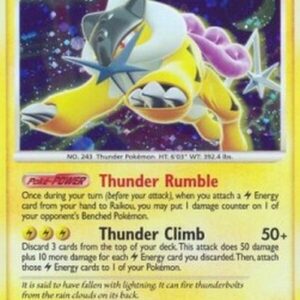 Pokemon Raikou Lv.42