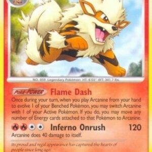 Pokemon Arcanine Lv.48
