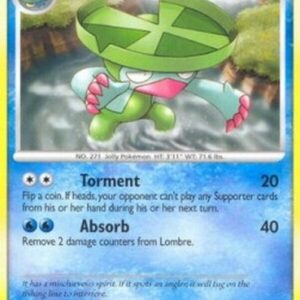 Pokemon Lombre Lv.26