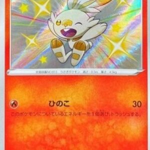 Pokemon Scorbunny Japanese