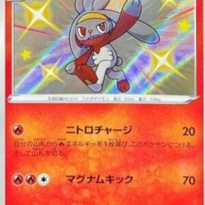 Pokemon Raboot Japanese