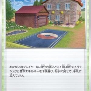 Pokemon Training Court Japanese