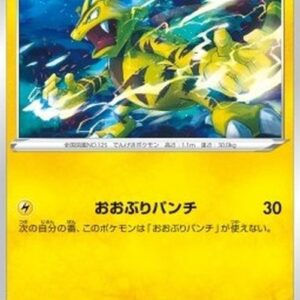 Pokemon Electabuzz Japanese